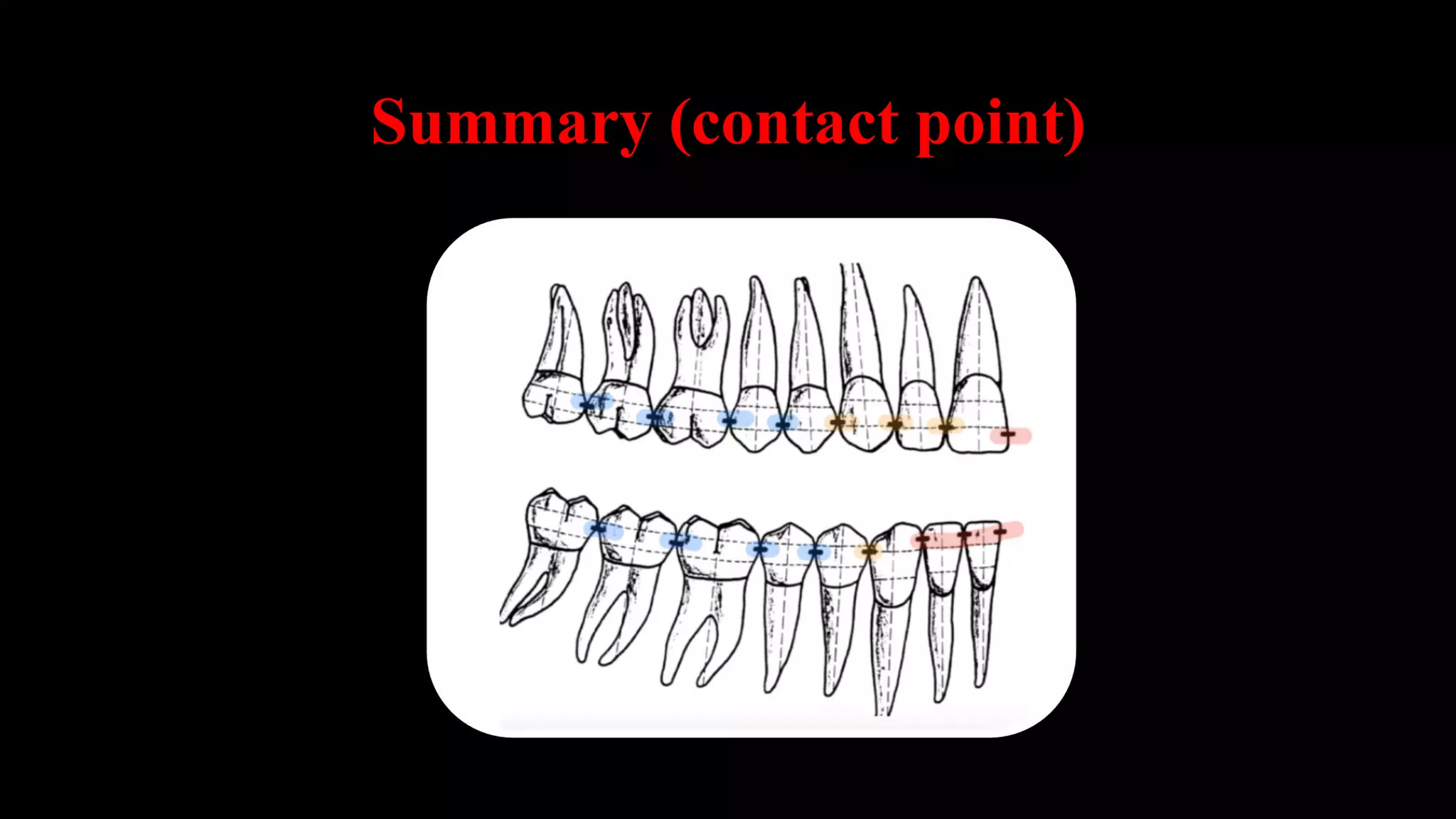 Point Tooth Dental anatomy and morphology lecture | PDF