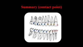 Tooth Contact Exceptions Dental anatomy and morphology lecture | PDF