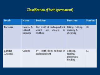 Tooth Case Classification Dental anatomy introduction for BDS first year students | PPTX