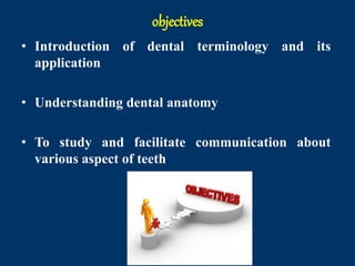 Dental anatomy introduction for BDS first year students | PPTX