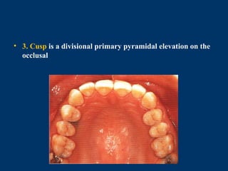 Introduction and nomenclature of dental anatomy | PPTX