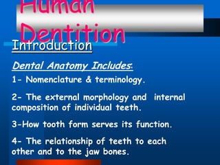 Human
DentitionIntroduction
:Dental Anatomy Includes
1- Nomenclature & terminology.
2- The external morphology and internal
composition of individual teeth.
3-How tooth form serves its function.
4- The relationship of teeth to each
other and to the jaw bones.
 