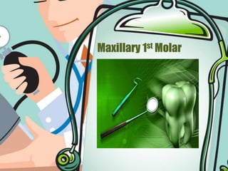 Maxillary 1st Molar
 