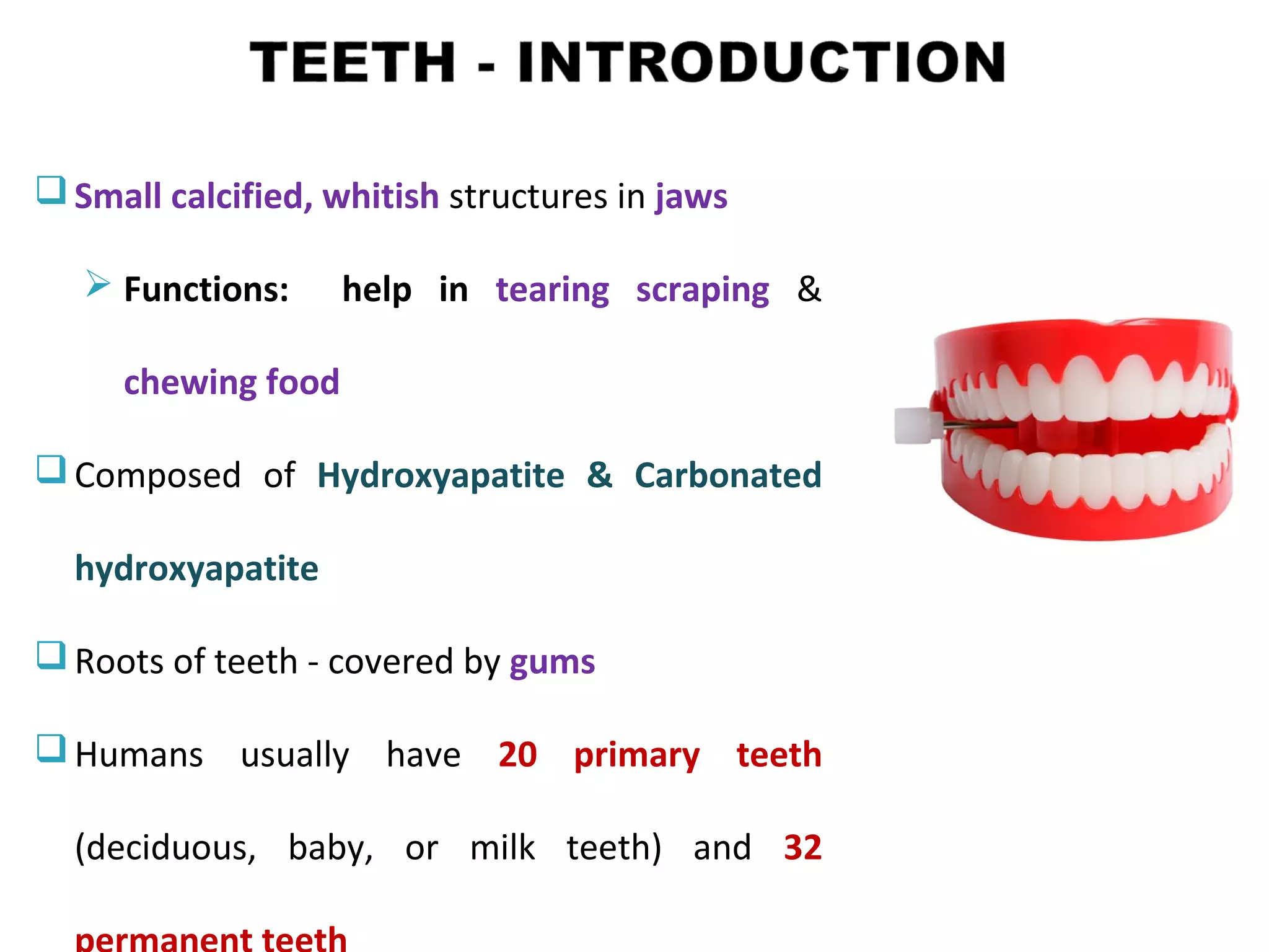 Dental anatomy & physiology | PPT