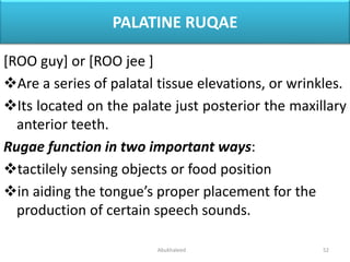Dental Anatomy | PPTX