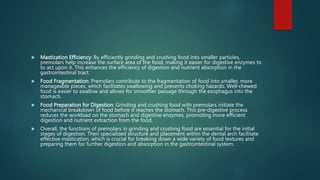  Mastication Efficiency: By efficiently grinding and crushing food into smaller particles,
premolars help increase the surface area of the food, making it easier for digestive enzymes to
to act upon it. This enhances the efficiency of digestion and nutrient absorption in the
gastrointestinal tract.
 Food Fragmentation: Premolars contribute to the fragmentation of food into smaller, more
manageable pieces, which facilitates swallowing and prevents choking hazards. Well-chewed
food is easier to swallow and allows for smoother passage through the esophagus into the
stomach.
 Food Preparation for Digestion: Grinding and crushing food with premolars initiate the
mechanical breakdown of food before it reaches the stomach. This pre-digestive process
reduces the workload on the stomach and digestive enzymes, promoting more efficient
digestion and nutrient extraction from the food.
 Overall, the functions of premolars in grinding and crushing food are essential for the initial
stages of digestion. Their specialized structure and placement within the dental arch facilitate
effective mastication, which is crucial for breaking down a wide variety of food textures and
preparing them for further digestion and absorption in the gastrointestinal system.
 