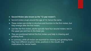  Second Molars (also known as the "12-year molars"):
 Second molars erupt around the age of 12, hence the name.
 These molars are similar in structure and function to the first molars, but
they emerge after the first molars.
 Just like the first molars, adults typically have four second molars: two in
the upper jaw and two in the lower jaw.
 They are positioned behind the first molars and help in chewing and
grinding food.
 In summary, while all molars are essential for chewing and grinding food,
they have different eruption times, positions in the mouth, and
implications for dental health.
 