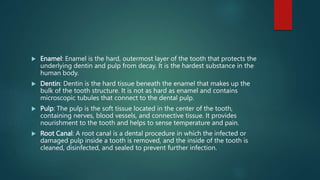  Enamel: Enamel is the hard, outermost layer of the tooth that protects the
underlying dentin and pulp from decay. It is the hardest substance in the
human body.
 Dentin: Dentin is the hard tissue beneath the enamel that makes up the
bulk of the tooth structure. It is not as hard as enamel and contains
microscopic tubules that connect to the dental pulp.
 Pulp: The pulp is the soft tissue located in the center of the tooth,
containing nerves, blood vessels, and connective tissue. It provides
nourishment to the tooth and helps to sense temperature and pain.
 Root Canal: A root canal is a dental procedure in which the infected or
damaged pulp inside a tooth is removed, and the inside of the tooth is
cleaned, disinfected, and sealed to prevent further infection.
 