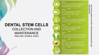 Dental and orofacial mesenchymal stem cells in craniofacial | PPTX