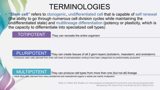 Dental and orofacial mesenchymal stem cells in craniofacial | PPTX