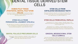 Dental and orofacial mesenchymal stem cells in craniofacial | PPTX