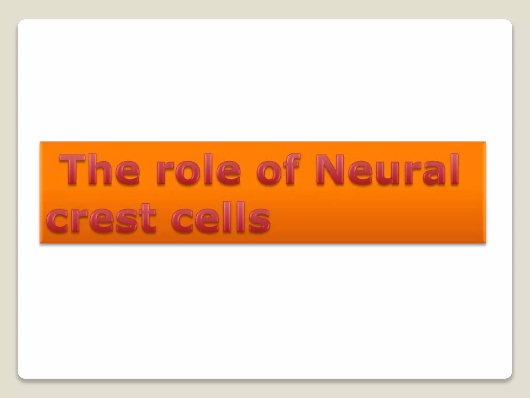 6'3" And 5'0": What Genes Determine Height? - rtzcmrf