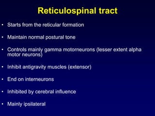 Vestibulospinal tract
• Starts from the vestibular nuclei (present in the medullar region)

• Excitatory to alpha motor ne...