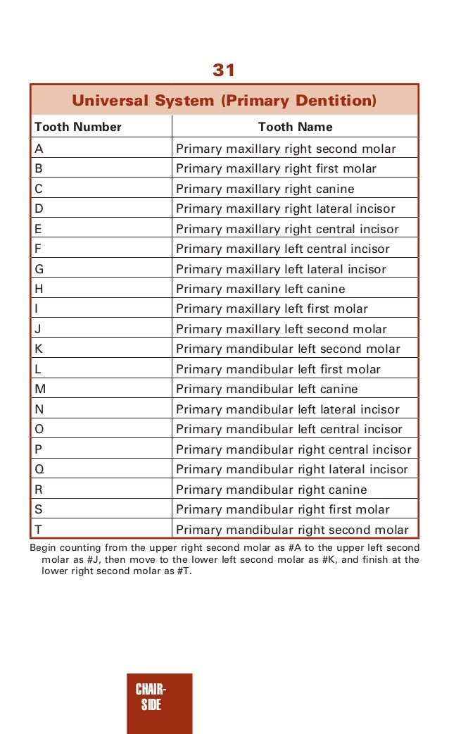 Dental assisting notes dental assistant's chairside pocket guide, 1…