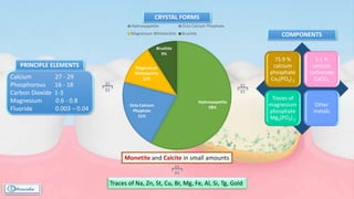CRYSTAL FORMS
Hydroxyapetite
58%Octa Calcium
Phophate
21%
Magnesium
Whitelockite
12%
Brushite
9%
Hydroxyapetite Octa Calcium Phophate
Magnesium Whitelockite Brushite
Calcium 27 - 29
Phosphorous 16 - 18
Carbon Dioxide 1-3
Magnesium 0.6 - 0.8
Fluoride 0.003 – 0.04
PRINCIPLE ELEMENTS
75.9 %
calcium
phosphate
Ca3(PO4) 2
3.1 %
calcium
carbonate
CaCO3
Traces of
magnesium
phosphate
Mg3(PO4) 2
Other
metals
Traces of Na, Zn, St, Cu, Br, Mg, Fe, Al, Si, Tg, Gold
COMPONENTS
Monetite and Calcite in small amounts
 