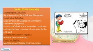 CO-RELATIVE ANALYSIS
Supragingival Calculus :
Hydroxyapatite + Octa Calcium Phosphate
Subgingival Calculus :
Large amount of Magnesium whitlockite
Same Hydroxyapetite
Presence of alkaline and anaerobic conditions
and concomitant presence of magnesia (or Zn
and CO3)
Mandibular Anterior Region :
Brushite (more common)
Posterior Region :
Magnesium whitlockite (more common)
Reference : Sundberg & Friskopp 1985
 