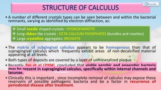 • A number of different crystals types can be seen between and within the bacterial
remnants, varying as identified by electron diffraction, as:
• The matrix of subgingival calculus appears to be homogenous than that of
supragingival calculus which frequently exhibit areas of non-decalcified material
appearing at all levels.
• Both types of deposits are covered by a layer of unmineralized plaque.
• Recently Tan et al (2004), concluded that viable aerobic and anaerobic bacteria
may be present in supragingival calculus, specifically within internal channels and
lacunae.
• Clinically this is important , since incomplete removal of calculus may expose these
reservoirs of possible pathogenic bacteria and be a factor in recurrence of
periodontal disease after treatment.
STRUCTURE OF CALCULUS
 Small needle shaped crystals : HYDROXYAPATITE
 Long ribbon like crystals : OCTA CALCIUM PHOSPHATES (bundles and rosettes)
 Large crystalline aggregates: BRUSHITE
 
