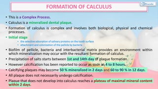 • This is a Complex Process.
• Calculus is a mineralized dental plaque.
• Formation of calculus is complex and involves both biological, physical and chemical
processes.
• Initial stage
• Biofilm of pellicle, bacteria and interbacterial matrix provides an environment within
which mineralization may occur with the resultant formation of calculus.
• Precipitation of salts starts between 1st and 14th day of plaque formation.
• However calcification has been reported to occur as soon as 4 to 8 hours.
• Calcifying plaques may become 50 % mineralized in 2 days and 60 to 90 % in 12 days.
• All plaque does not necessarily undergo calcification.
• Plaque that does not develop into calculus reaches a plateau of maximal mineral content
within 2 days.
FORMATION OF CALCULUS
 