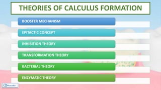THEORIES OF CALCULUS FORMATION
BOOSTER MECHANISM
EPITACTIC CONCEPT
INHIBITION THEORY
TRANSFORMATION THEORY
BACTERIAL THEORY
ENZYMATIC THEORY
 
