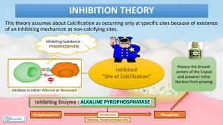 Poisons the Growth
centers of the Crystal
and prevents Initial
Nucleus from growing
This theory assumes about Calcification as occurring only at specific sites because of existence
of an inhibiting mechanism at non-calcifying sites.
INHIBITION THEORY
Inhibited
“Site of Calcification”
Inhibitor is either Altered or Removed
Inhibiting Enzyme : ALKALINE PYROPHOSPHATASE
Pyrophosphate Phosphate
Reference : Russell and Fleisch 1970
Inhibiting Substance :
PYROPHOSPHATE
HYDROLYSIS
 
