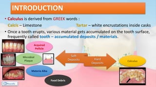 INTRODUCTION
• Calculus is derived from GREEK words :
Calcis – Limestone Tartar – white encrustations inside casks
• Once a tooth erupts, various material gets accumulated on the tooth surface,
frequently called tooth – accumulated deposits / materials.
Soft
Deposits Hard
Deposits
Acquired
Pellicle
Microbial
Plaque
Materia Alba
Food Debris
Calculus
 