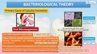 BACTERIOLOGICAL THEORY
Primary Cause of Calculus Formation
Oral Microorganisms
(A) Leptotrichia cells (Gram stain).
(B) Leptotrichia cells (SEM). (C) Leptotrichia cells
(SEM). (D) Leptotrichia colonies.
Leptotrichia
Actinomyces
Non viable organisms calcify readily Reference : Ennever - 1967
Plaque bacteria actively participate in calculus mineralization by
forming phosphates, by changing plaque pH or inducing
mineralization Reference : Ennever – 1967; Mandel - 1960
The prevalent opinion is that bacteria are only passively involved. Reference : Gonzales and Rizzo et.al 1962
Occurrence of calculus in germ free animals supports this opinion. Reference : Gjmreo – 1974; Gustaffson and Krasee – 1962
Reference : Goodrich
and Moseley – 1916
Reference : Naselund
1925 – 1926
 