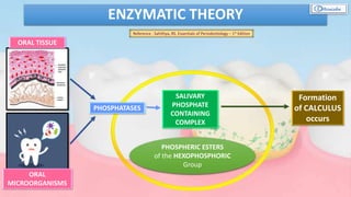 ENZYMATIC THEORY
PHOSPHATASES
ORAL TISSUE
ORAL
MICROORGANISMS
SALIVARY
PHOSPHATE
CONTAINING
COMPLEX
PHOSPHERIC ESTERS
of the HEXOPHOSPHORIC
Group
Formation
of CALCULUS
occurs
Reference : Sahithya, RS. Essentials of Periodontology – 1st Edition
 