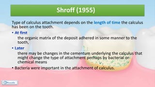 Shroff (1955)
Type of calculus attachment depends on the length of time the calculus
has been on the tooth.
the organic matrix of the deposit adhered in some manner to the
tooth,
there may be changes in the cementum underlying the calculus that
might change the type of attachment perhaps by bacterial or
chemical means
• Bacteria were important in the attachment of calculus.
 
