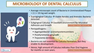 MICROBIOLOGY OF DENTAL CALCULUS
• Average microscopic count of Bacteria in Unmineralized Plaque
= 2.1 × 10 mg wet weight.
• Supragingival Calculus  Viable Aerobic and Anerobic Bacteria
detected
• Subgingival Calculus  Excellent environment for Microbial
Adhesion and Growth
• Periopathogens :
 Aggregatibacter actinomycetemcomitans
 Porphyromonas gingivalis
 Treponema denticola
• Bacteria are not essential for Calculus formation, but they
enable its development.
• Hence, high amount of Calculus indicates Poor Oral Hygiene
for months or even years. Reference : Carranza’s Clinical Periodontology
Reference : Zander et al. 1960, Schroeder 1969
 