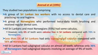 They studied two populations comprising
A group of with no access to dental care and
practicing no oral hygiene.
A group of who performed twice-daily tooth brushing and
received regular dental care.
All Sri Lankans and most Norwegians (93%) had some calculus.
 However, only 6% of teeth were calculus free in Sri Lankans compared with 74% in
Norwegians.
Less than 1% of Sri Lankans had only supragingival calculus compared with
56% of Norwegians.
All Sri Lankans had subgingival calculus on almost all teeth, whereas only 36%
of Norwegians had subgingival deposits involving an average of 9% of teeth.
Anerud et al (1991)
 