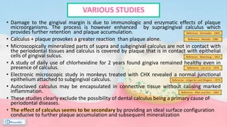 • Damage to the gingival margin is due to immunologic and enzymatic effects of plaque
microorganisms. The process is however enhanced by supragingival calculus which
provides further retention and plaque accumulation.
• Calculus + plaque provokes a greater reaction than plaque alone.
• Microscopically mineralized parts of supra and subgingival calculus are not in contact with
the periodontal tissues and calculus is covered by plaque that is in contact with epithelial
cells of gingival sulcus.
• A study of daily use of chlorhexidine for 2 years found gingiva remained healthy even in
presence of calculus.
• Electronic microscopic study in monkeys treated with CHX revealed a normal junctional
epithelium attached to subgingival calculus.
• Autoclaved calculus may be encapsulated in connective tissue without causing marked
inflammation.
• These studies clearly exclude the possibility of dental calculus being a primary cause of
periodontal diseases.
by providing an ideal surface configuration
conducive to further plaque accumulation and subsequent mineralization
Reference : Schroeder - 1969
Reference : Mandel - 1986
Reference : Waerhaug – 1953
Reference : Loe et al – 1976
Reference : Listgarten and Ellegaro – 1973
Reference : Allen and Kerr - 1965
VARIOUS STUDIES
 