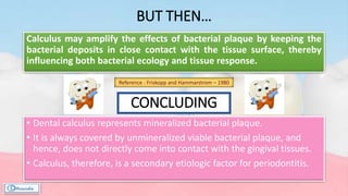 BUT THEN…
Calculus may amplify the effects of bacterial plaque by keeping the
bacterial deposits in close contact with the tissue surface, thereby
influencing both bacterial ecology and tissue response.
Reference : Friskopp and Hammarstrom – 1980
• Dental calculus represents mineralized bacterial plaque.
• It is always covered by unmineralized viable bacterial plaque, and
hence, does not directly come into contact with the gingival tissues.
• Calculus, therefore, is a secondary etiologic factor for periodontitis.
CONCLUDING
 
