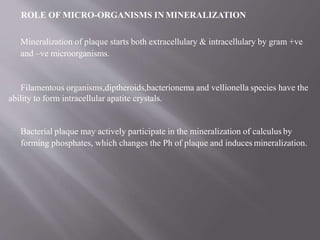 ROLE OF MICRO-ORGANISMS IN MINERALIZATION
Mineralization of plaque starts both extracellulary & intracellulary by gram +ve
and –ve microorganisms.
Filamentous organisms,diptheroids,bacterionema and vellionella species have the
ability to form intracellular apatite crystals.
Bacterial plaque may actively participate in the mineralization of calculus by
forming phosphates, which changes the Ph of plaque and induces mineralization.
 