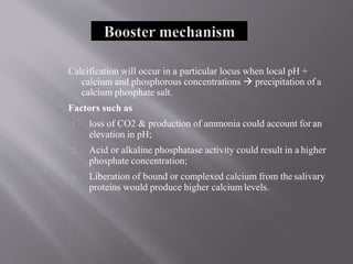 Calcification will occur in a particular locus when local pH +
calcium and phosphorous concentrations  precipitation of a
calcium phosphate salt.
Factors such as
1. loss of CO2 & production of ammonia could account for an
elevation in pH;
2. Acid or alkaline phosphatase activity could result in a higher
phosphate concentration;
3. Liberation of bound or complexed calcium from the salivary
proteins would produce higher calciumlevels.
 