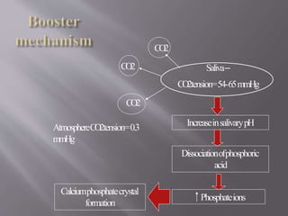 Saliva–
CO2tension=54-65mmHg
AtmosphereCO2tension=0.3
mmHg
CO2
CO2
CO2
IncreaseinsalivarypH
Dissociationofphosphoric
acid
Phosphateions
Calciumphosphatecrystal
formation
 