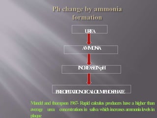 UREA
AMMONIA
INCREASEINpH
PRECIPITATIONOFCALCIUMPHOSPHATE
Mandel and thompson 1967- Rapid calculus producers have a higher than
average urea concentrationsin salivawhichincreasesammonialevelsin
plaque
 