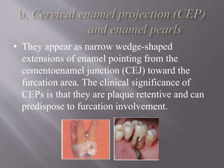 • They appear as narrow wedge-shaped
extensions of enamel pointing from the
cementoenamel junction (CEJ) toward the
furcation area. The clinical significance of
CEPs is that they are plaque retentive and can
predispose to furcation involvement.
 
