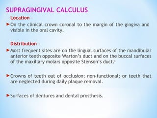 SUPRAGINGIVAL CALCULUS
Location –
On the clinical crown coronal to the margin of the gingiva and
visible in the oral cavity.
Distribution –
Most frequent sites are on the lingual surfaces of the mandibular
anterior teeth opposite Warton’s duct and on the buccal surfaces
of the maxillary molars opposite Stenson’s duct.6
Crowns of teeth out of occlusion; non-functional; or teeth that
are neglected during daily plaque removal.
Surfaces of dentures and dental prosthesis.
 