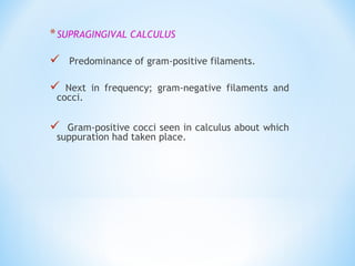 *SUPRAGINGIVAL CALCULUS
 Predominance of gram-positive filaments.
 Next in frequency; gram-negative filaments and
cocci.
 Gram-positive cocci seen in calculus about which
suppuration had taken place.
 
 