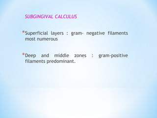 SUBGINGIVAL CALCULUS
*Superficial layers : gram- negative filaments
most numerous
*Deep and middle zones : gram-positive
filaments predominant.
 