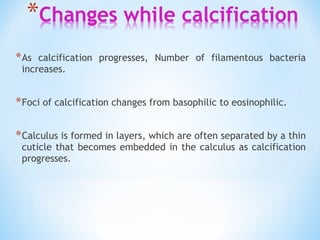 *As calcification progresses, Number of filamentous bacteria
increases.
*Foci of calcification changes from basophilic to eosinophilic.
*Calculus is formed in layers, which are often separated by a thin
cuticle that becomes embedded in the calculus as calcification
progresses.
 