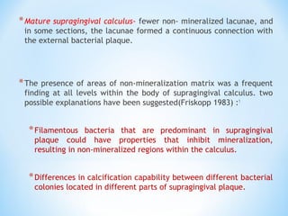 *Mature supragingival calculus- fewer non- mineralized lacunae, and
in some sections, the lacunae formed a continuous connection with
the external bacterial plaque.
*The presence of areas of non-mineralization matrix was a frequent
finding at all levels within the body of supragingival calculus. two
possible explanations have been suggested(Friskopp 1983) :1
*Filamentous bacteria that are predominant in supragingival
plaque could have properties that inhibit mineralization,
resulting in non-mineralized regions within the calculus.
*Differences in calcification capability between different bacterial
colonies located in different parts of supragingival plaque.
 
