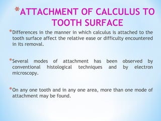 *ATTACHMENT OF CALCULUS TO
TOOTH SURFACE
*Differences in the manner in which calculus is attached to the
tooth surface affect the relative ease or difficulty encountered
in its removal.
*Several modes of attachment has been observed by
conventional histological techniques and by electron
microscopy.
*On any one tooth and in any one area, more than one mode of
attachment may be found.
 