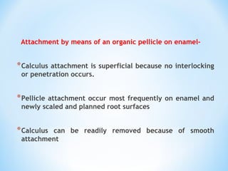 Attachment by means of an organic pellicle on enamel-
*Calculus attachment is superficial because no interlocking
or penetration occurs.
*Pellicle attachment occur most frequently on enamel and
newly scaled and planned root surfaces
*Calculus can be readily removed because of smooth
attachment
 