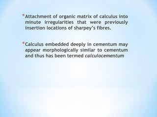 *Attachment of organic matrix of calculus into
minute irregularities that were previously
insertion locations of sharpey’s fibres.
*Calculus embedded deeply in cementum may
appear morphologically similar to cementum
and thus has been termed calculocementum
 