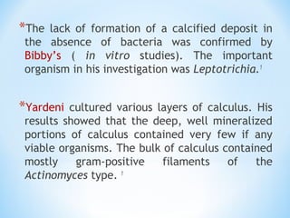 *The lack of formation of a calcified deposit in
the absence of bacteria was confirmed by
Bibby’s ( in vitro studies). The important
organism in his investigation was Leptotrichia.1
*Yardeni cultured various layers of calculus. His
results showed that the deep, well mineralized
portions of calculus contained very few if any
viable organisms. The bulk of calculus contained
mostly gram-positive filaments of the
Actinomyces type. 1
 