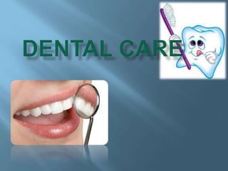 Dental Care 