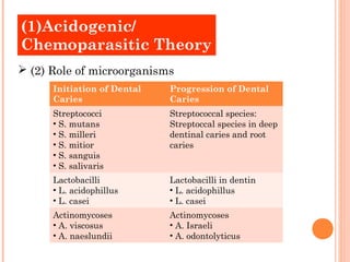 (1)Acidogenic/
Chemoparasitic Theory
 (2) Role of microorganisms
      Initiation of Dental   Progression of Dental
      Caries                 Caries
      Streptococci           Streptococcal species:
      • S. mutans            Streptoccal species in deep
      • S. milleri           dentinal caries and root
      • S. mitior            caries
      • S. sanguis
      • S. salivaris
      Lactobacilli           Lactobacilli in dentin
      • L. acidophillus      • L. acidophillus
      • L. casei             • L. casei
      Actinomycoses          Actinomycoses
      • A. viscosus          • A. Israeli
      • A. naeslundii        • A. odontolyticus
 