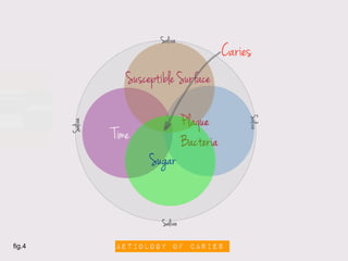 Saliva
                                                Caries
                    Susceptible Surface

                                     P laque




                                                     Saliva
        Saliva




                 Time                Bacteria
                         Sugar


                            Saliva

fig.4            aetiology of caries
 