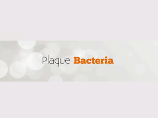 Plaque Bacteria
 